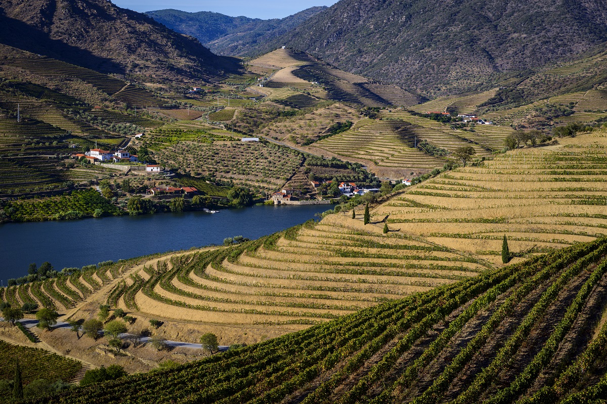 The Most Beautiful Places in Portugal, From Douro Valley Vineyards to the  Islets of the Azores