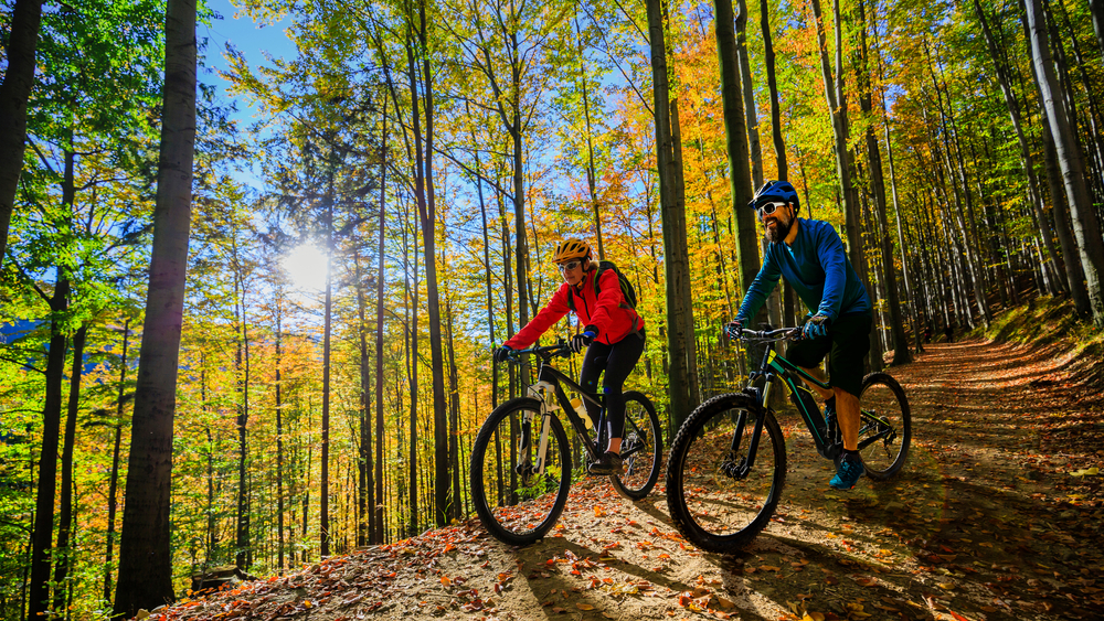 basics of mountain biking